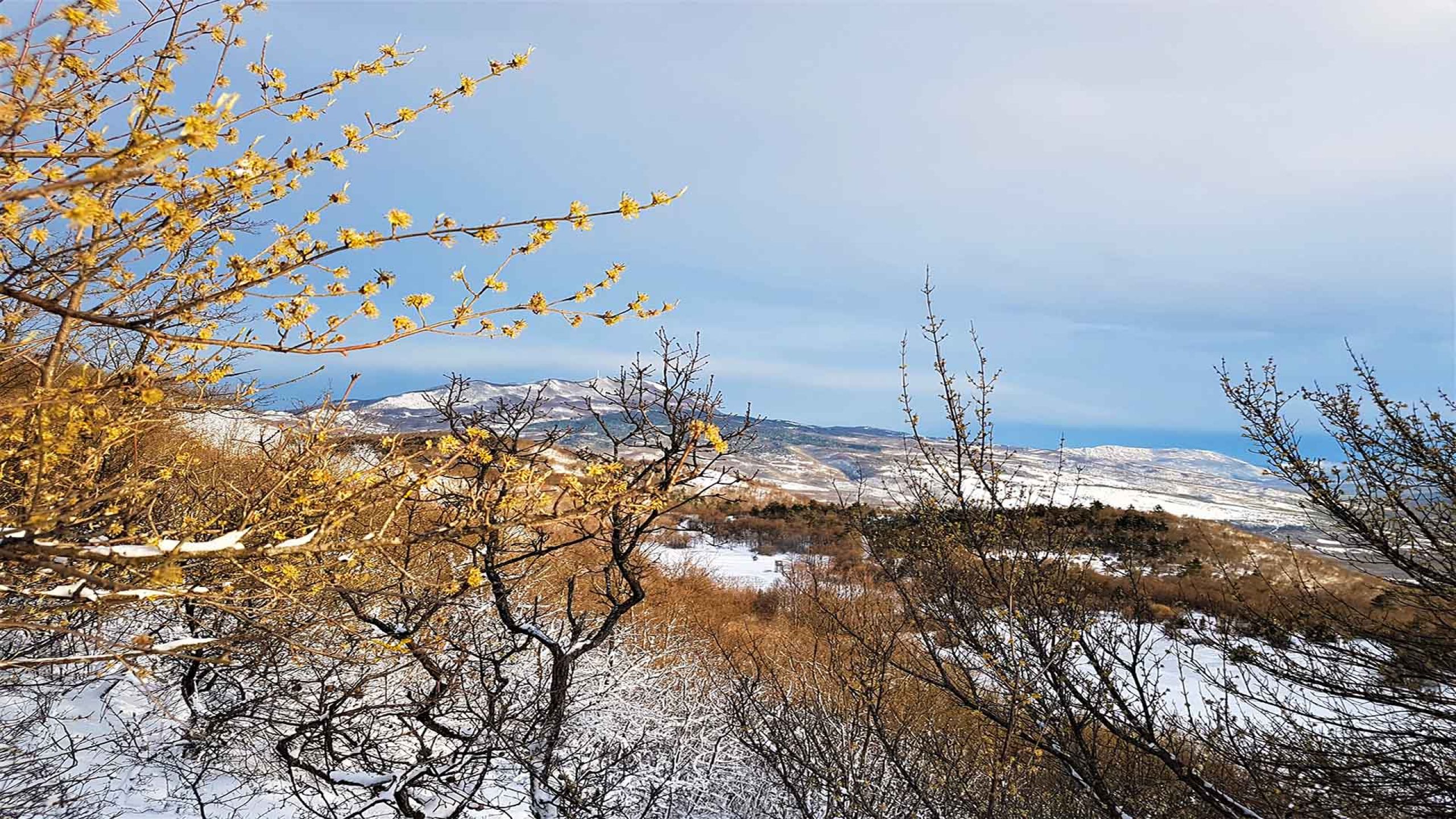 Fotografija općine Lupoglav zimi