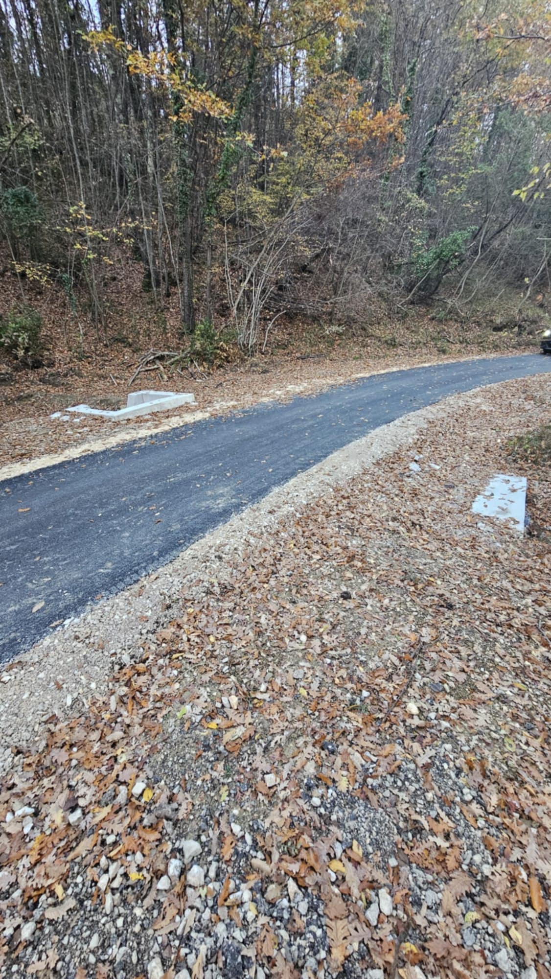 46972dfc afcc 492e a748 1ac70b3f413b