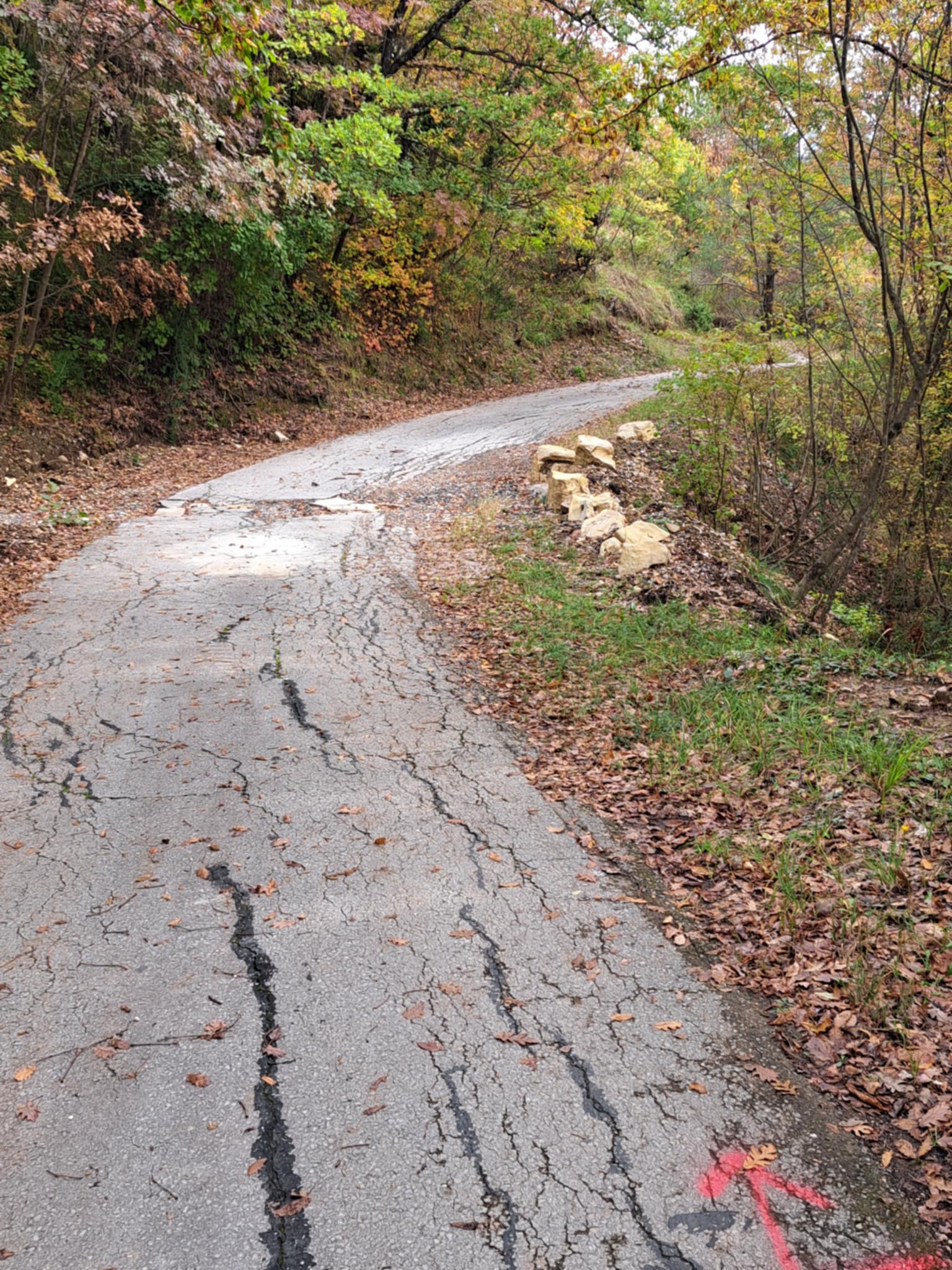 9f3cf47a 1149 4450 8005 aa7cf960ded7