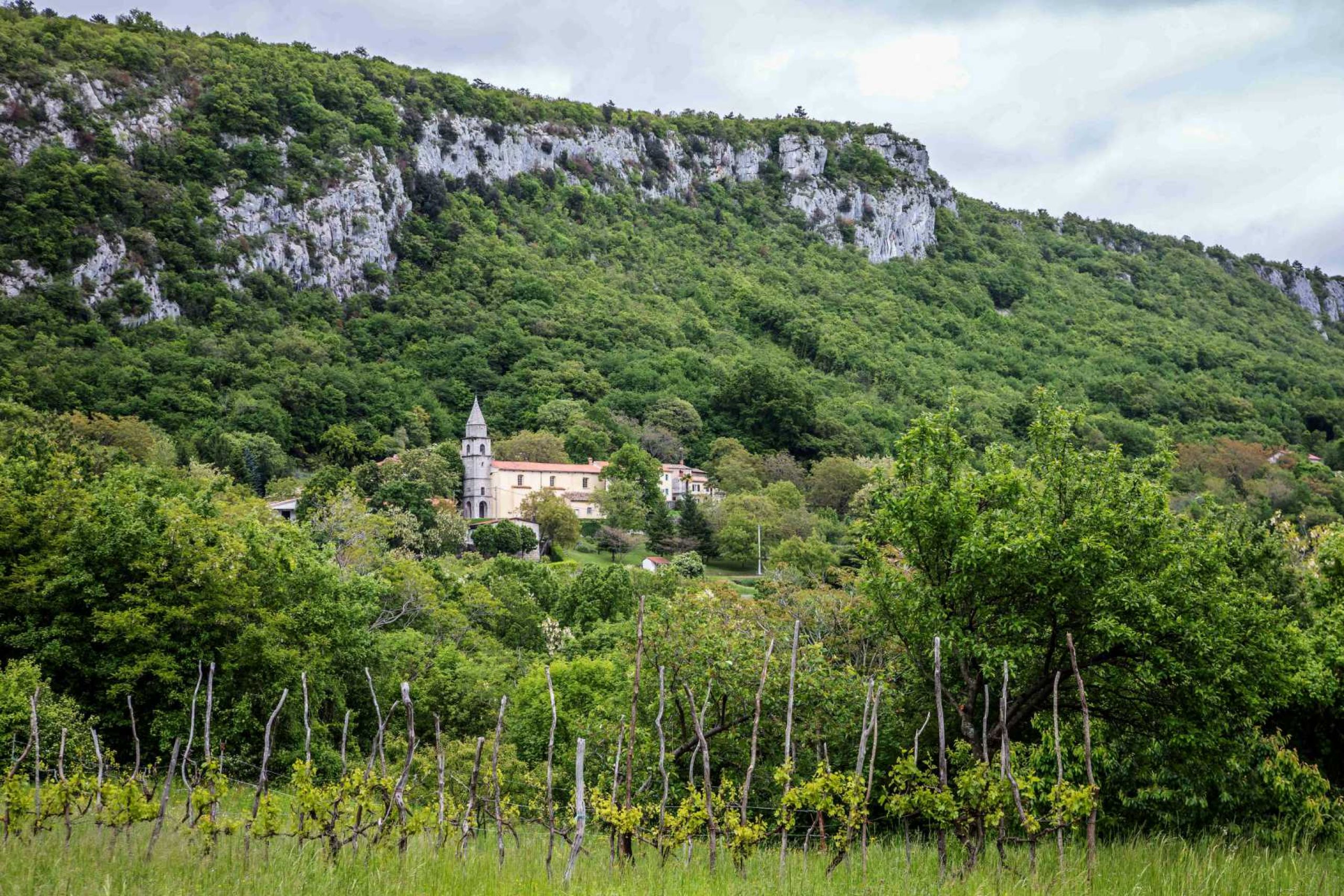 Fotografija Dolenja Vas u općini Lupoglav